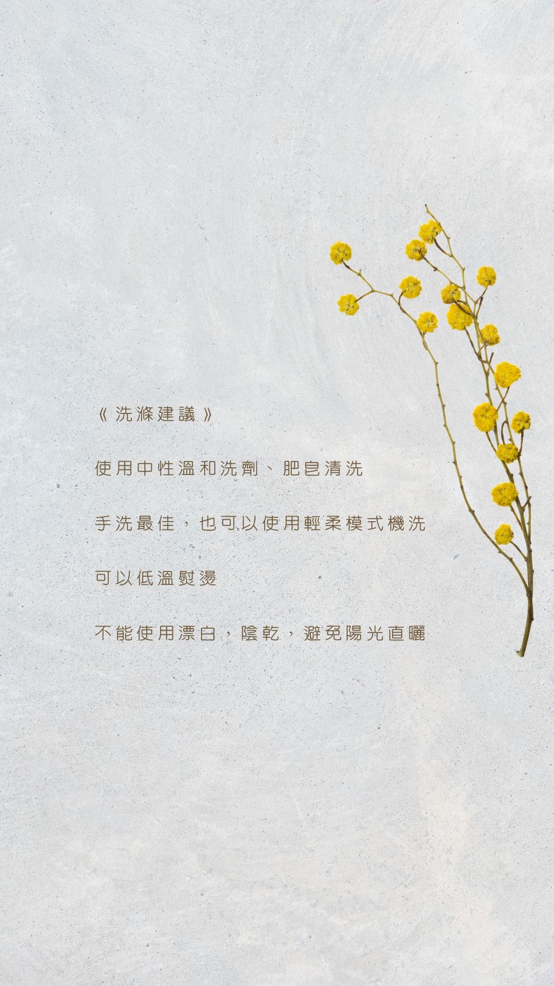 Green White Minimalist Motivation Instagram Story - 4