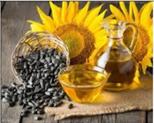 Helianthus Annuus (Sunflower) Seed Oil向日葵籽油.jpg