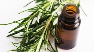 Tea Tree Leaf Oil 茶树精油.jpg Tea Tree Leaf Oil 茶树精油.jpg