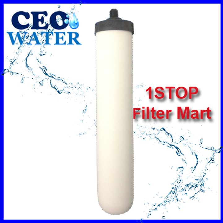 ceramic cartridge oct2019.jpg