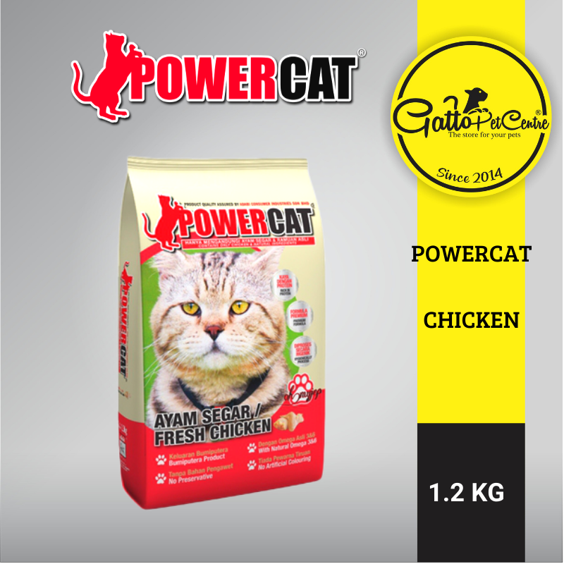 power cat chicken