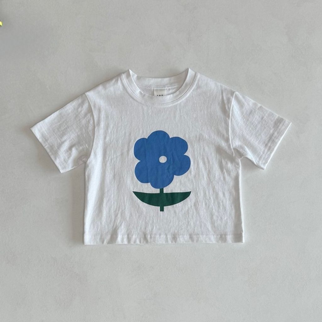 0d0682d507d39a00215a31f0bb37d513