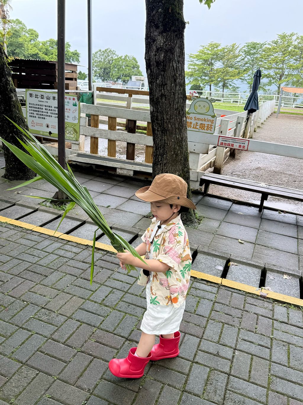 IMG_2620_VSCO