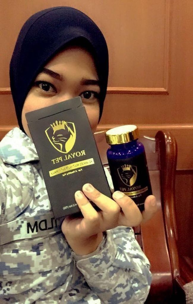 Royal Pet Malaysia | PENGUNA PENGUNA ROYALPET - 