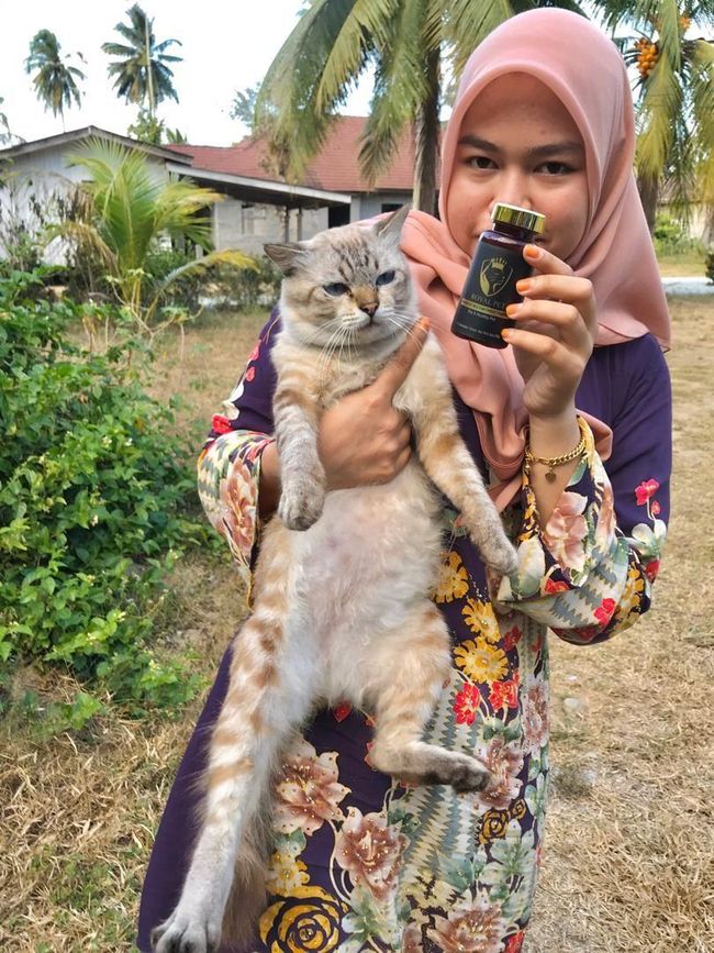 Royal Pet Malaysia