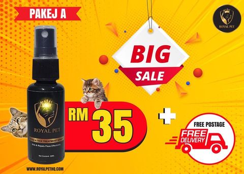 WhatsApp Image 2020-08-13 at 3.54.09 PM.jpeg