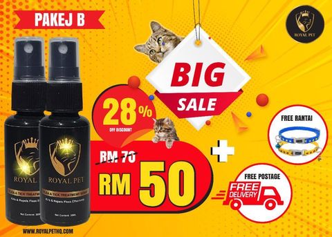 WhatsApp Image 2020-08-13 at 3.54.10 PM.jpeg