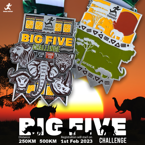 BIG5medalbanner-02