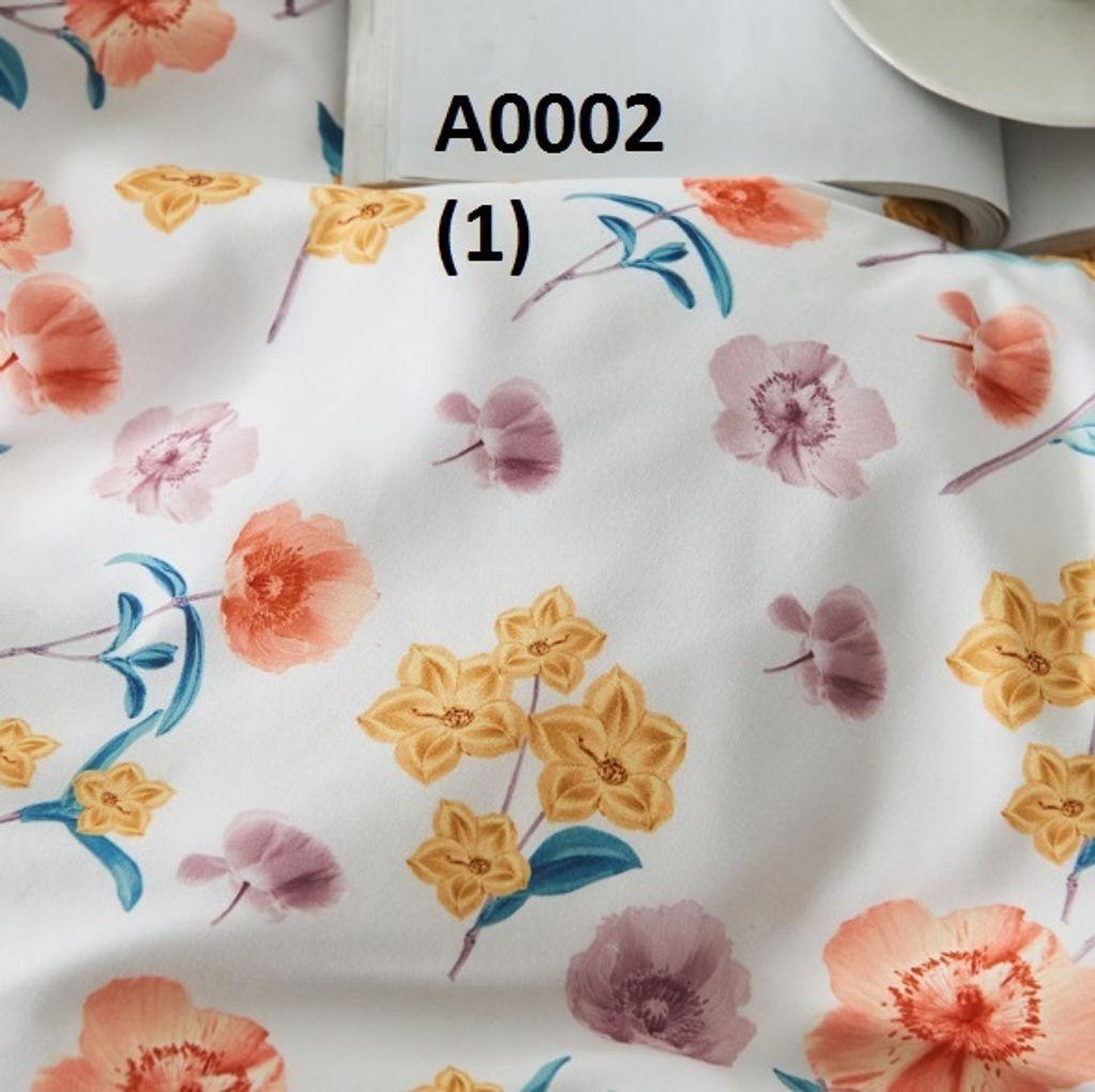 A0002(1.1).jpg