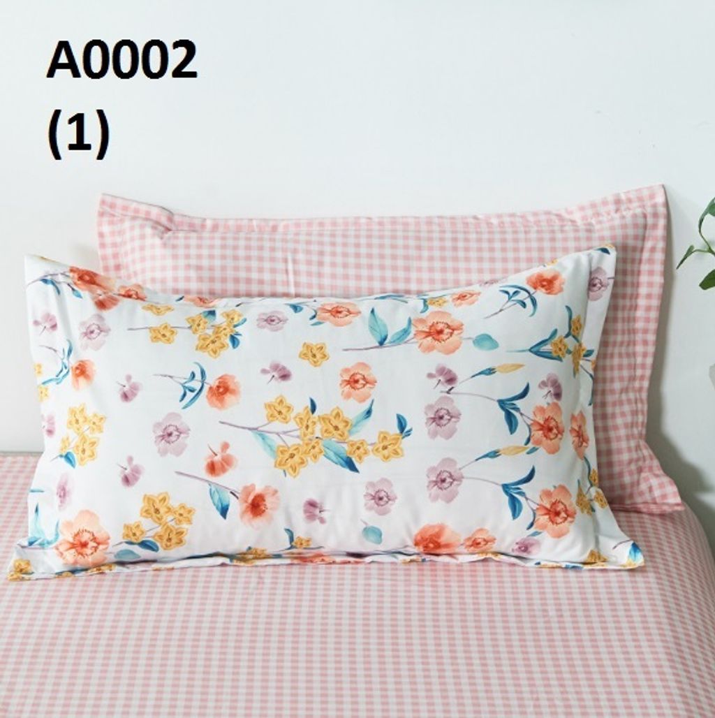 A0002(1.3).jpg