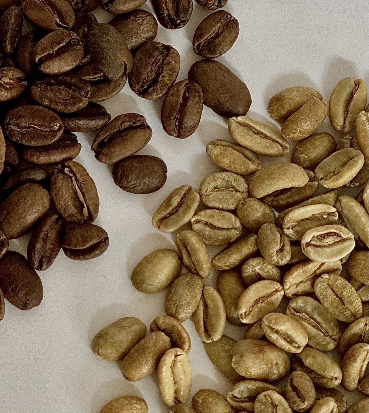 | 2f+ Coffee Roastery