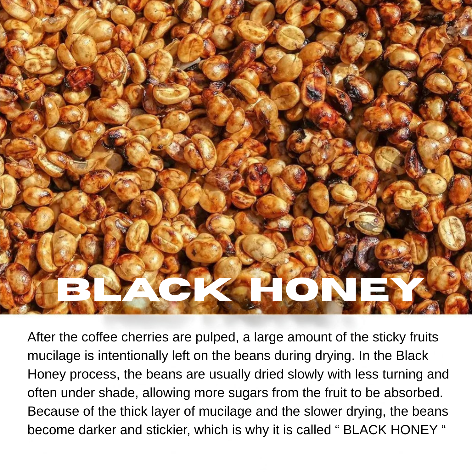 Your paragraph text (4)