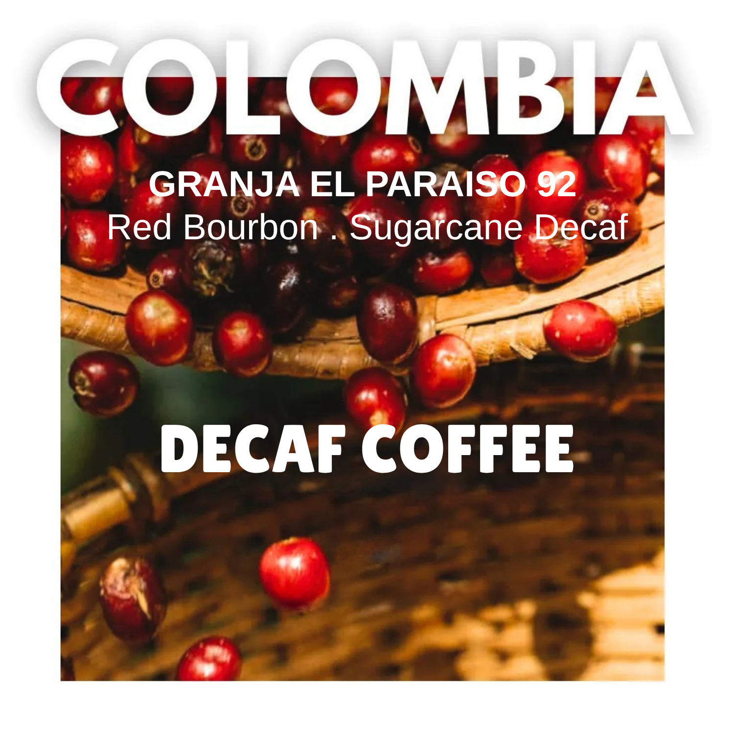 Your paragraph text (7)