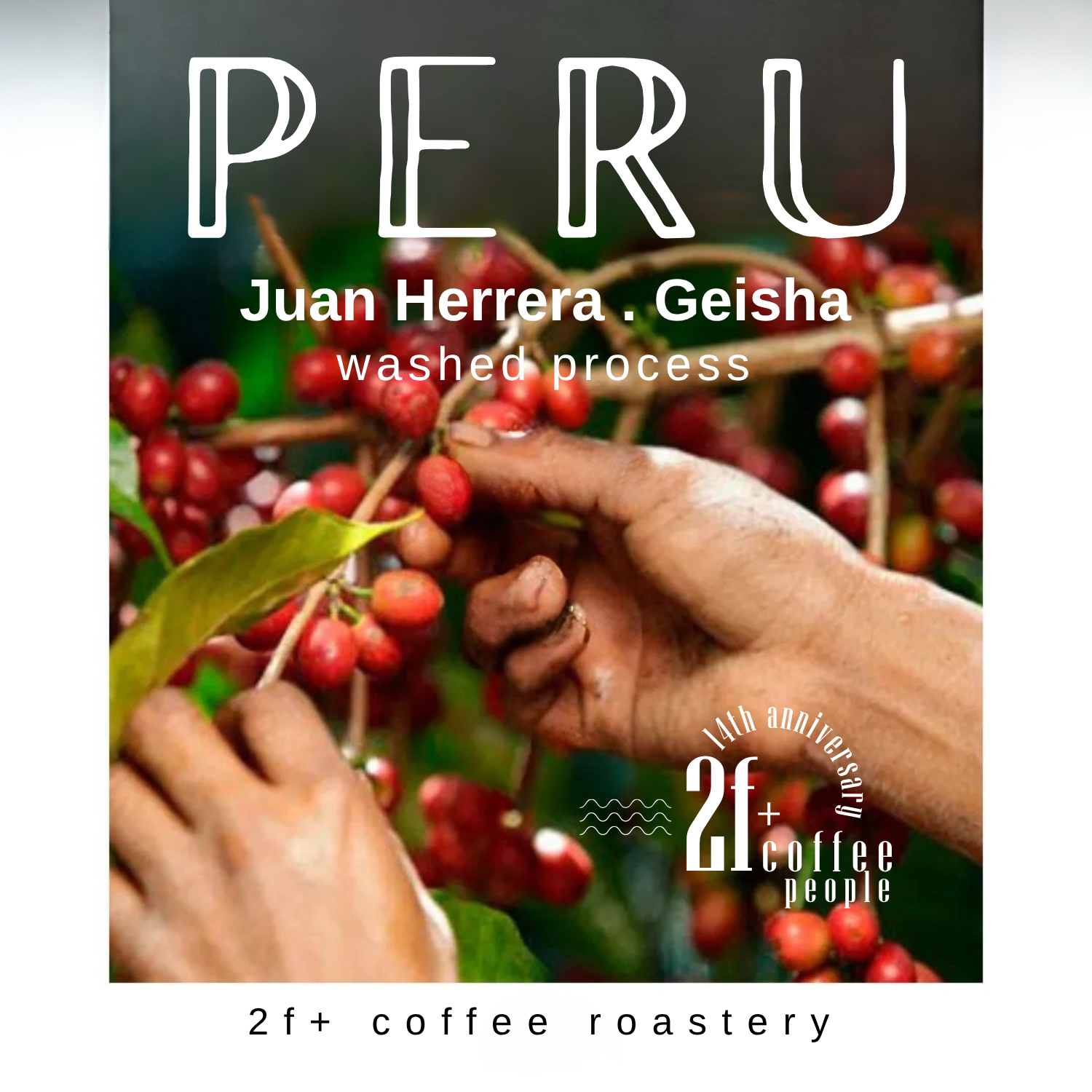 peru 2f (1)