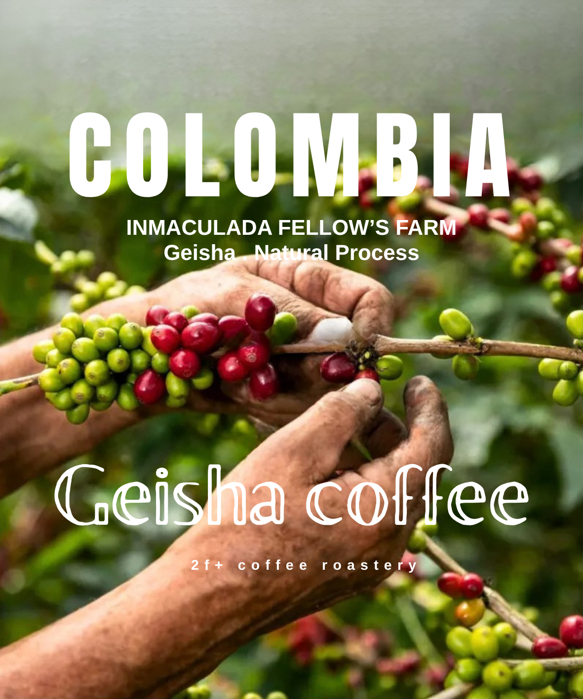 Copy of COLOMBIA (2)