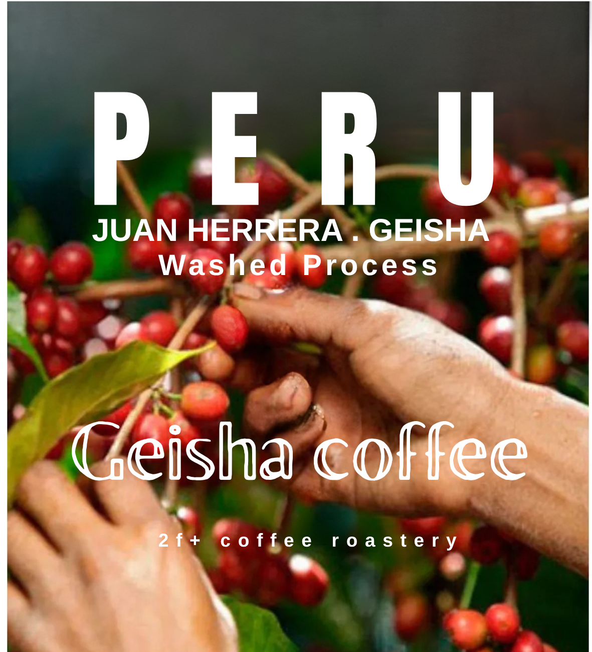 Copy of peru card