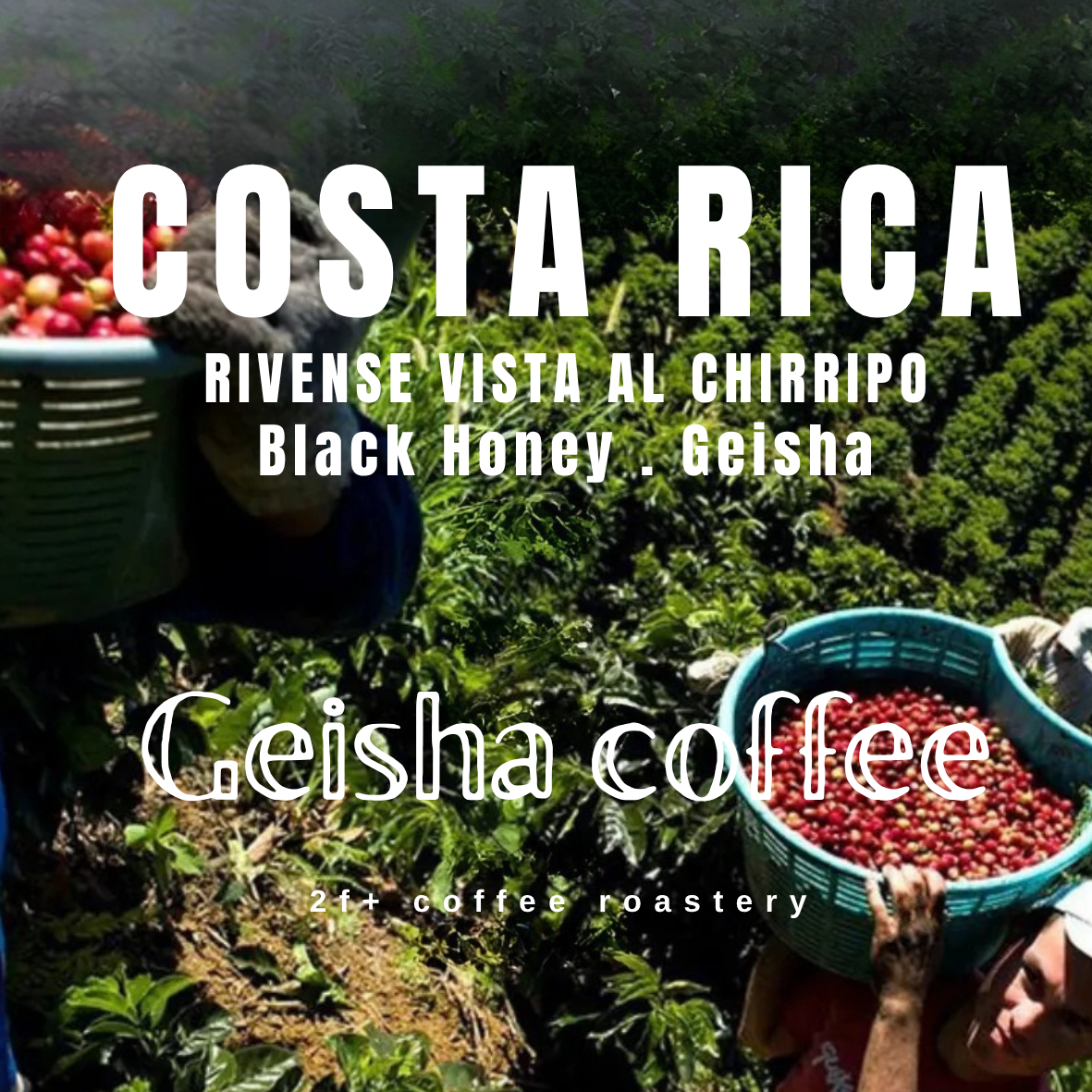 Copy of COSTA RICA