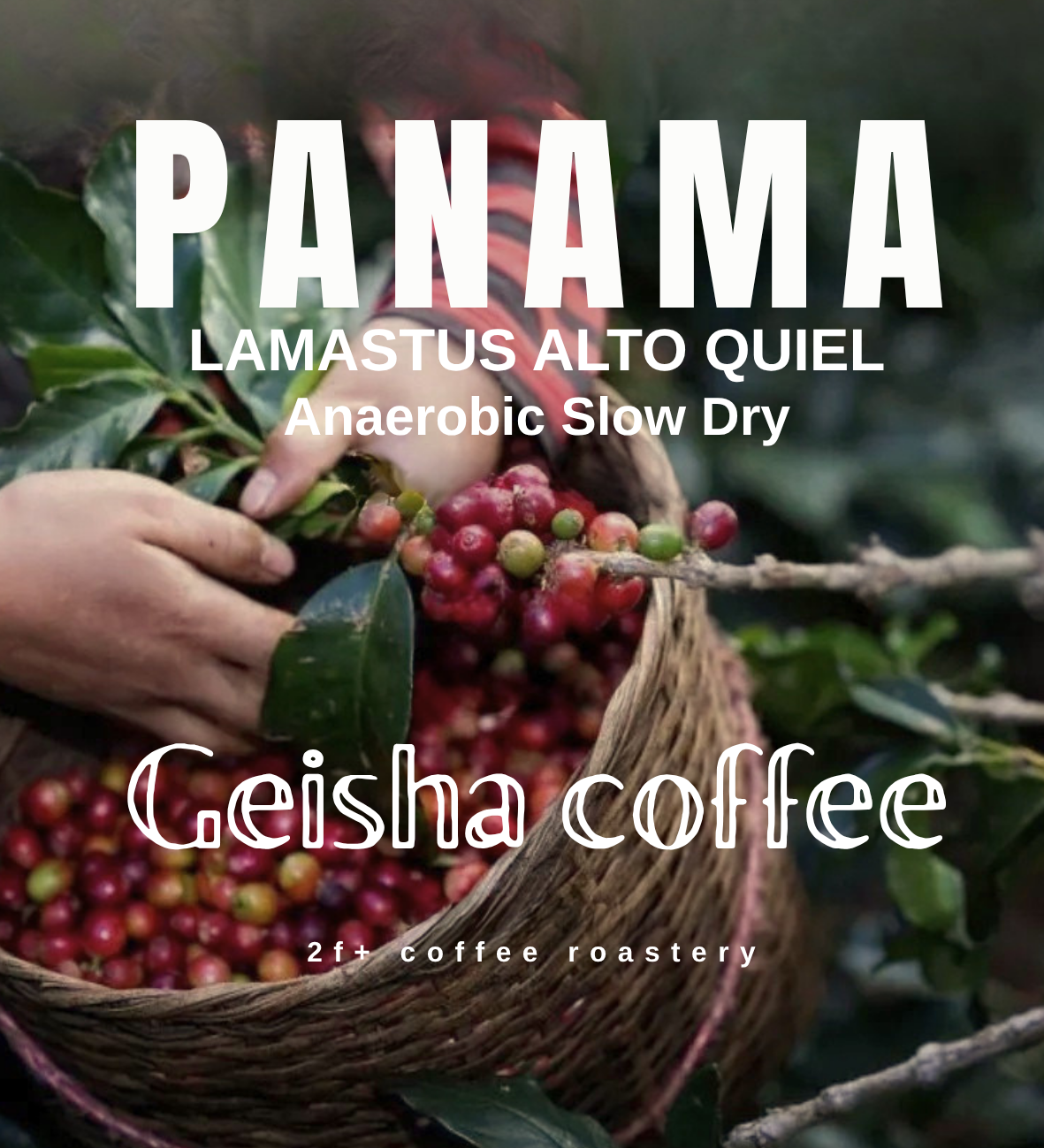 Copy of PANAMA anaerobic