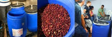anaerobic coffee 2