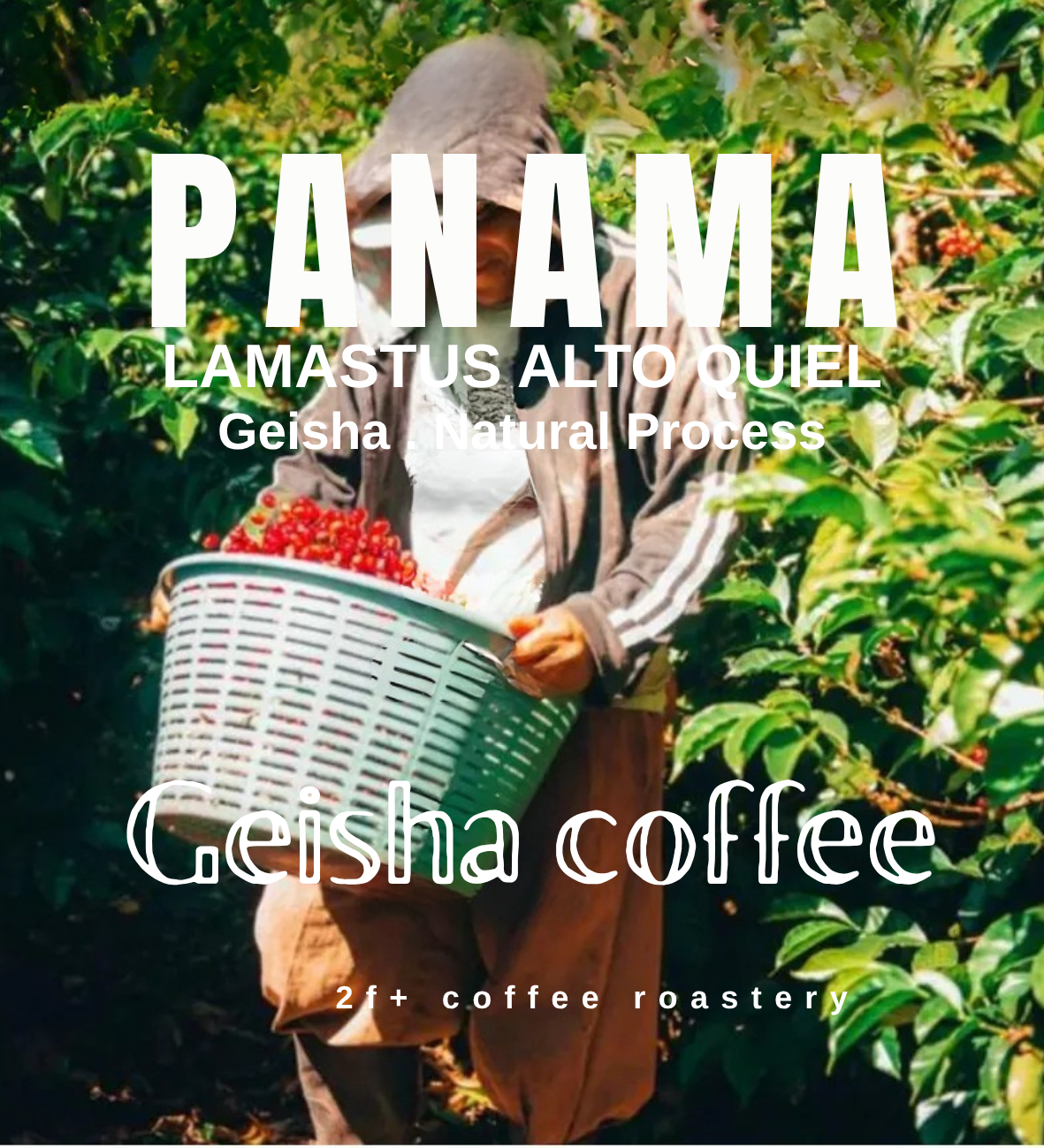 Copy of PANAMA  (1)