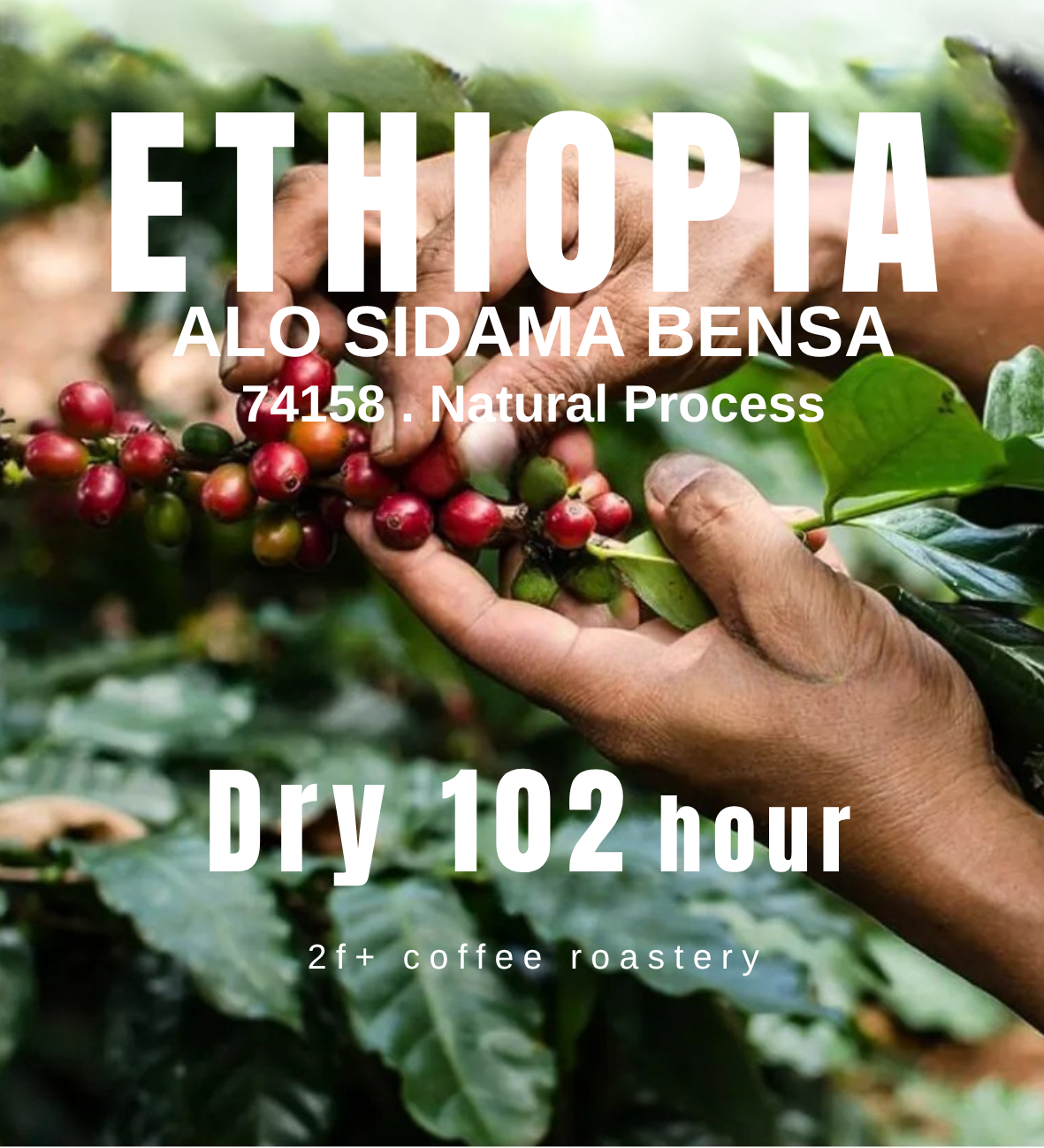 Copy of ETHIOPIA card
