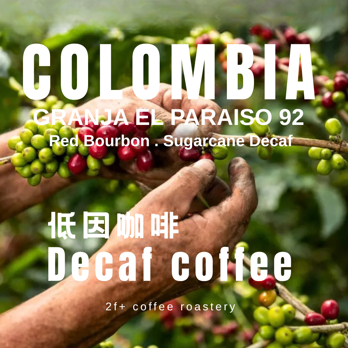 Copy of decaf a5