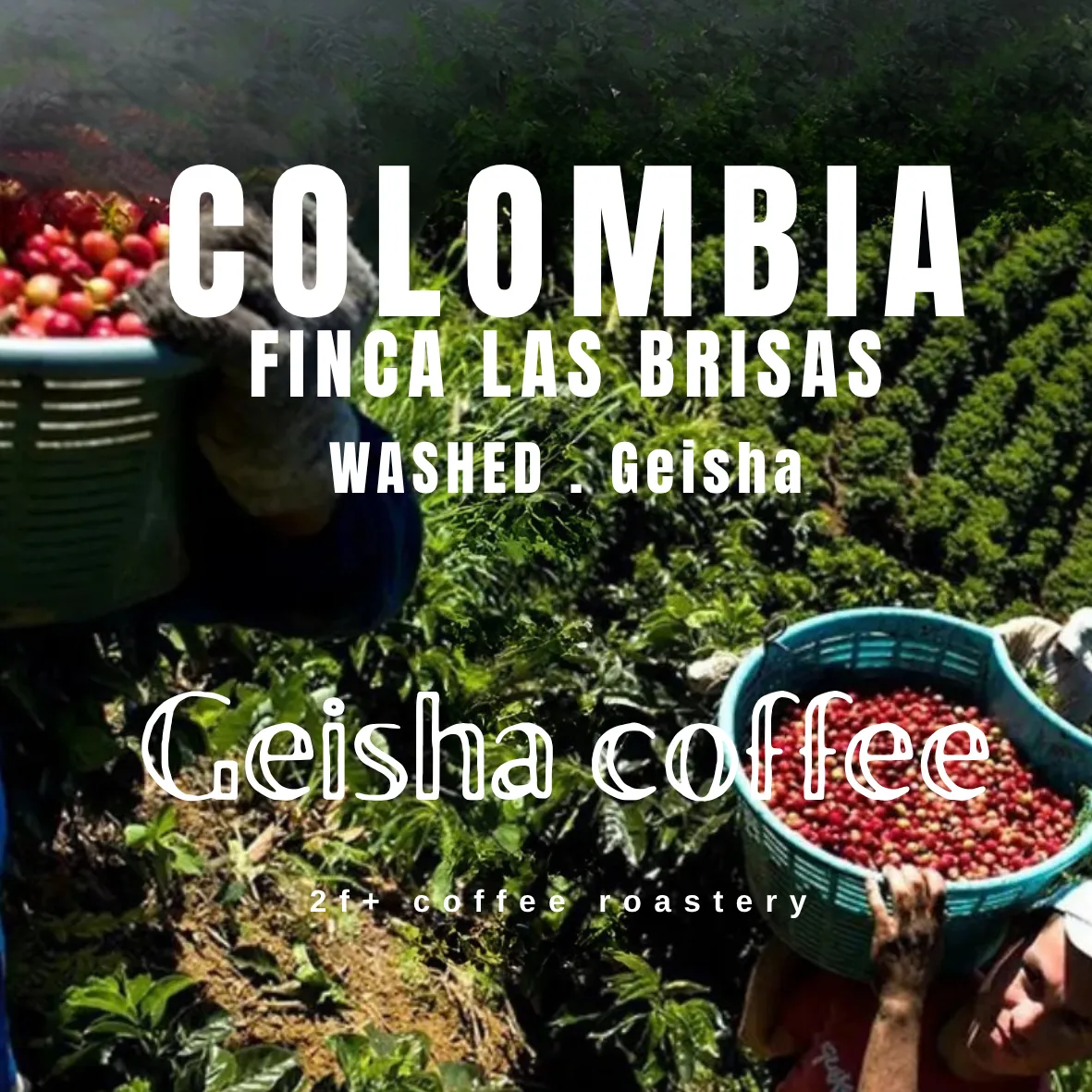 Copy of COSTA RICA (1)