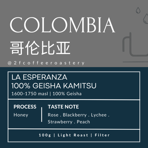 colombia geisha