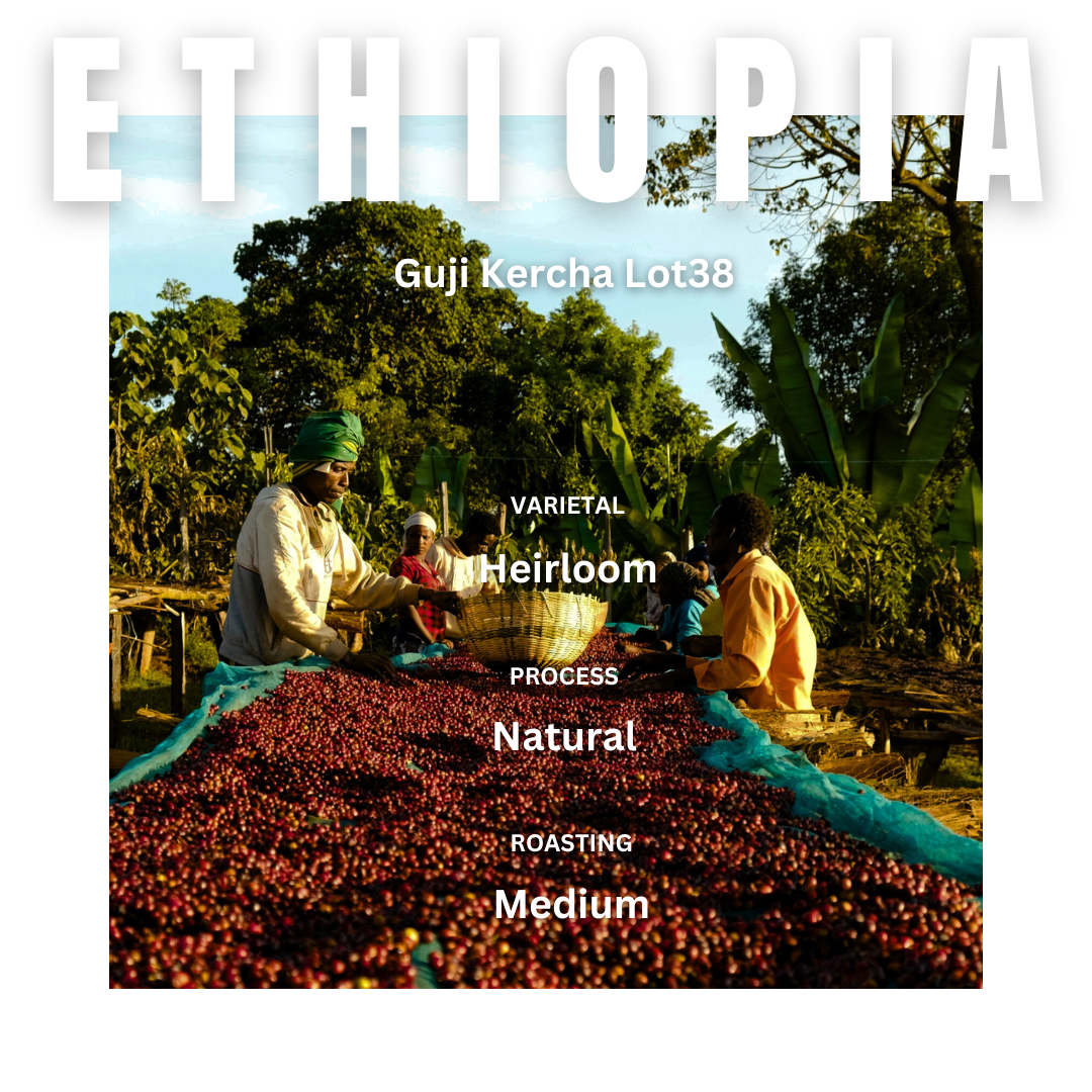 ETHIOPIA (14)