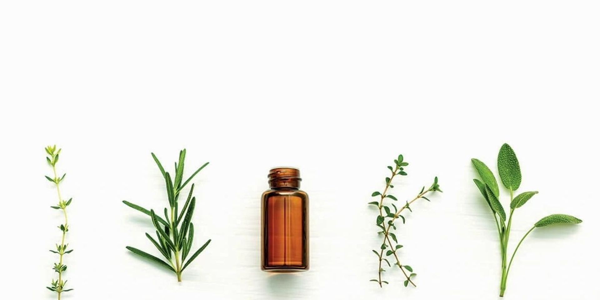 Triple Tree - Triple Tree Signature Essential Blend Series