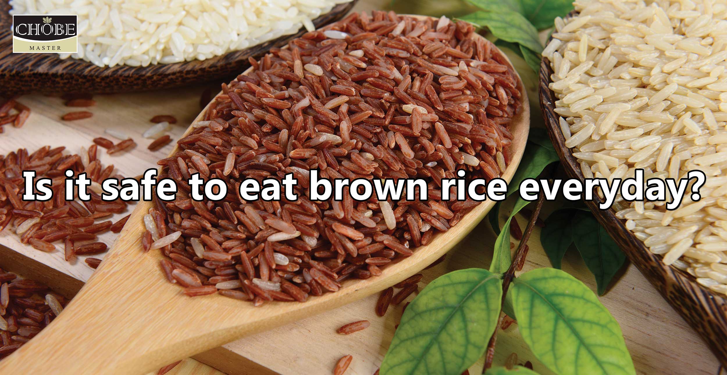 Is it safe to eat brown rice everyday? Chobe EStore