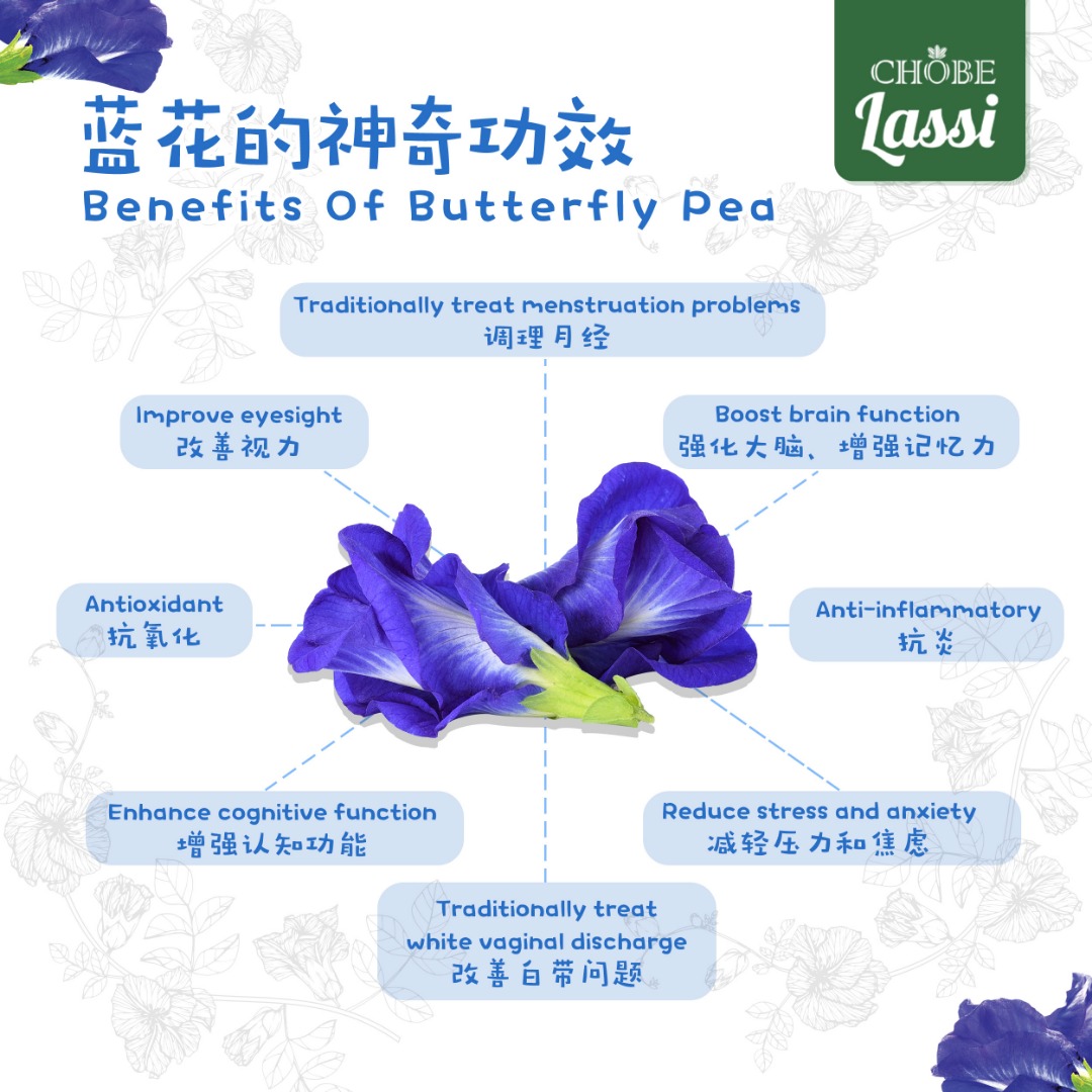 Benefits of Chobe Master Butterfly Pea Lassi.jpeg