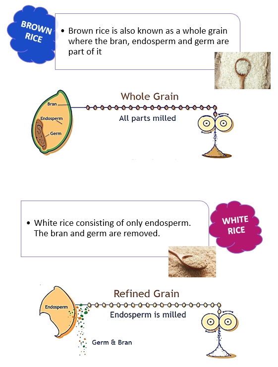 brown rice diagram