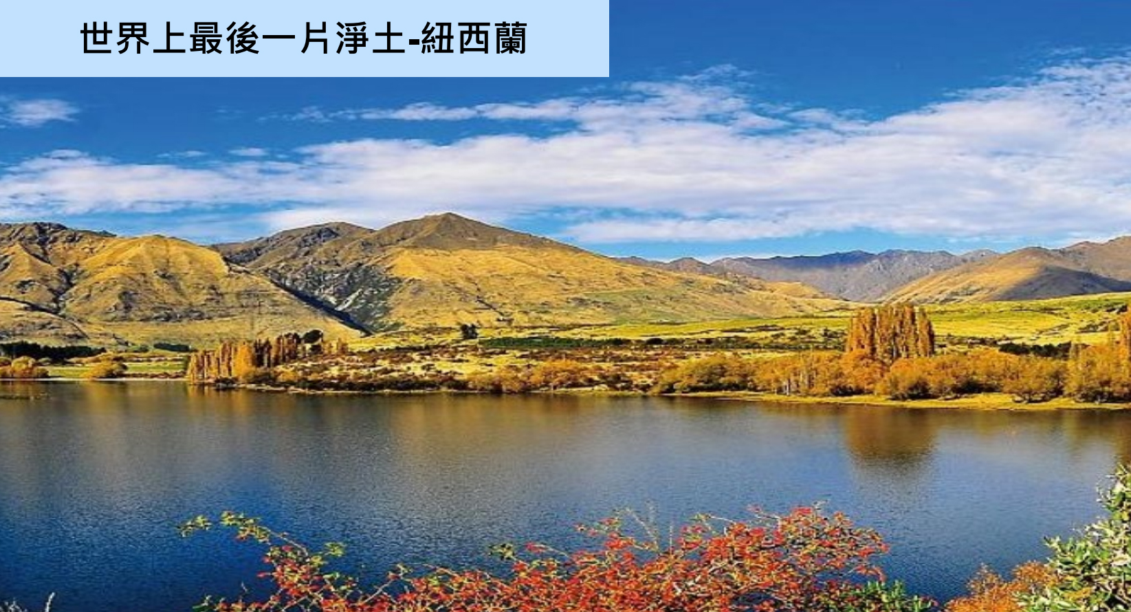 紐灣HBay紐西蘭天然礦泉水-淨化養生