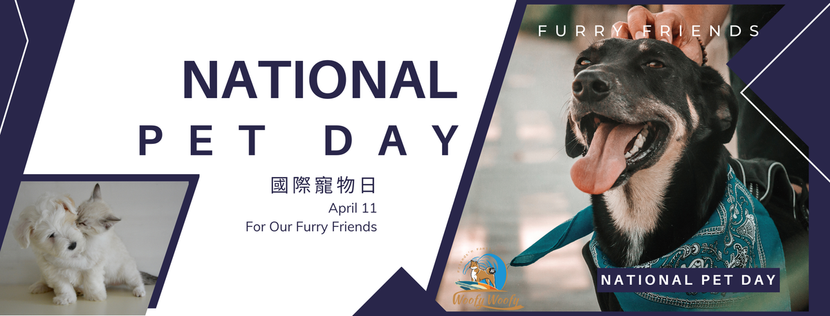 4.11 國際寵物日 National Pet Day