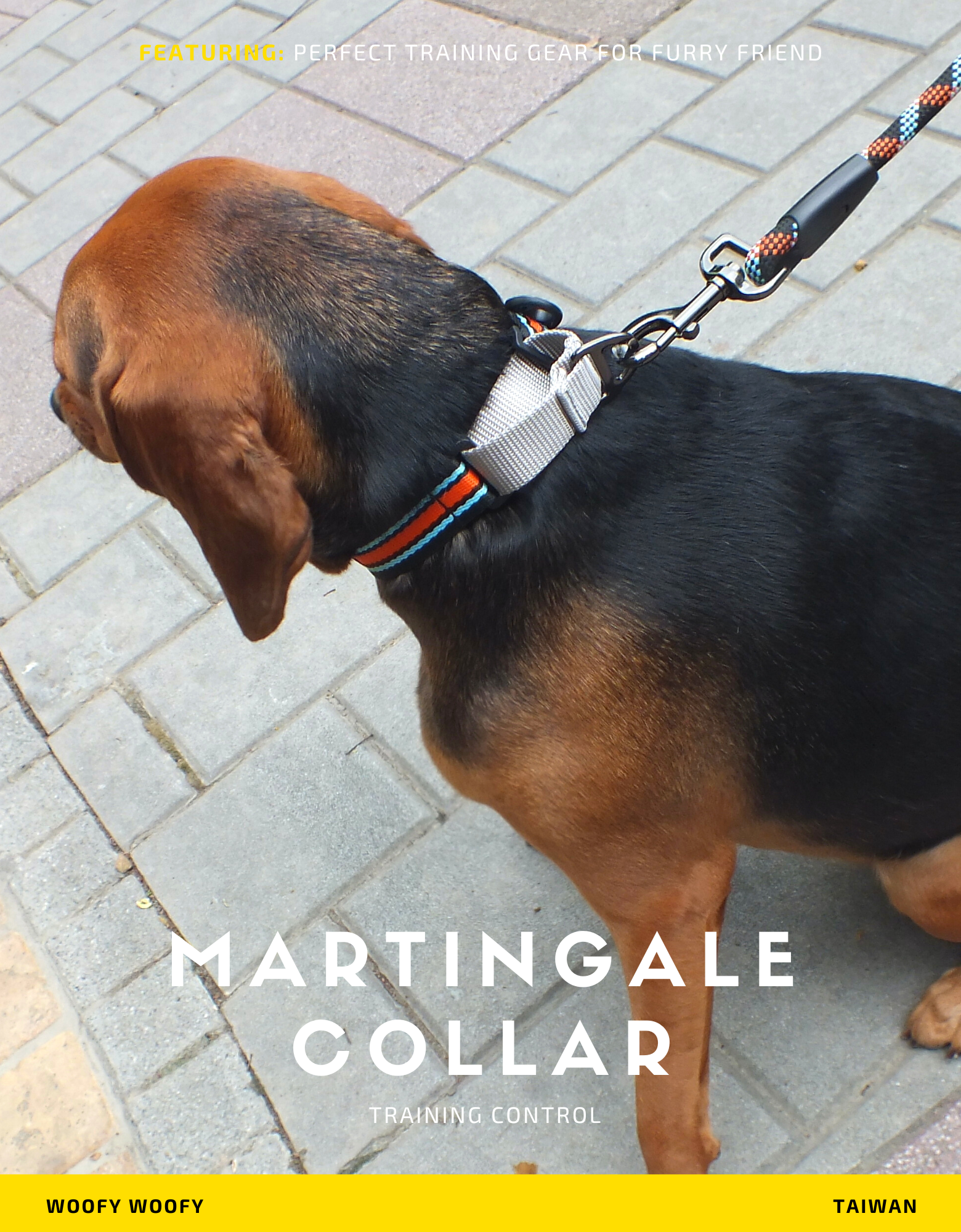 Martingale Collar-Black-2