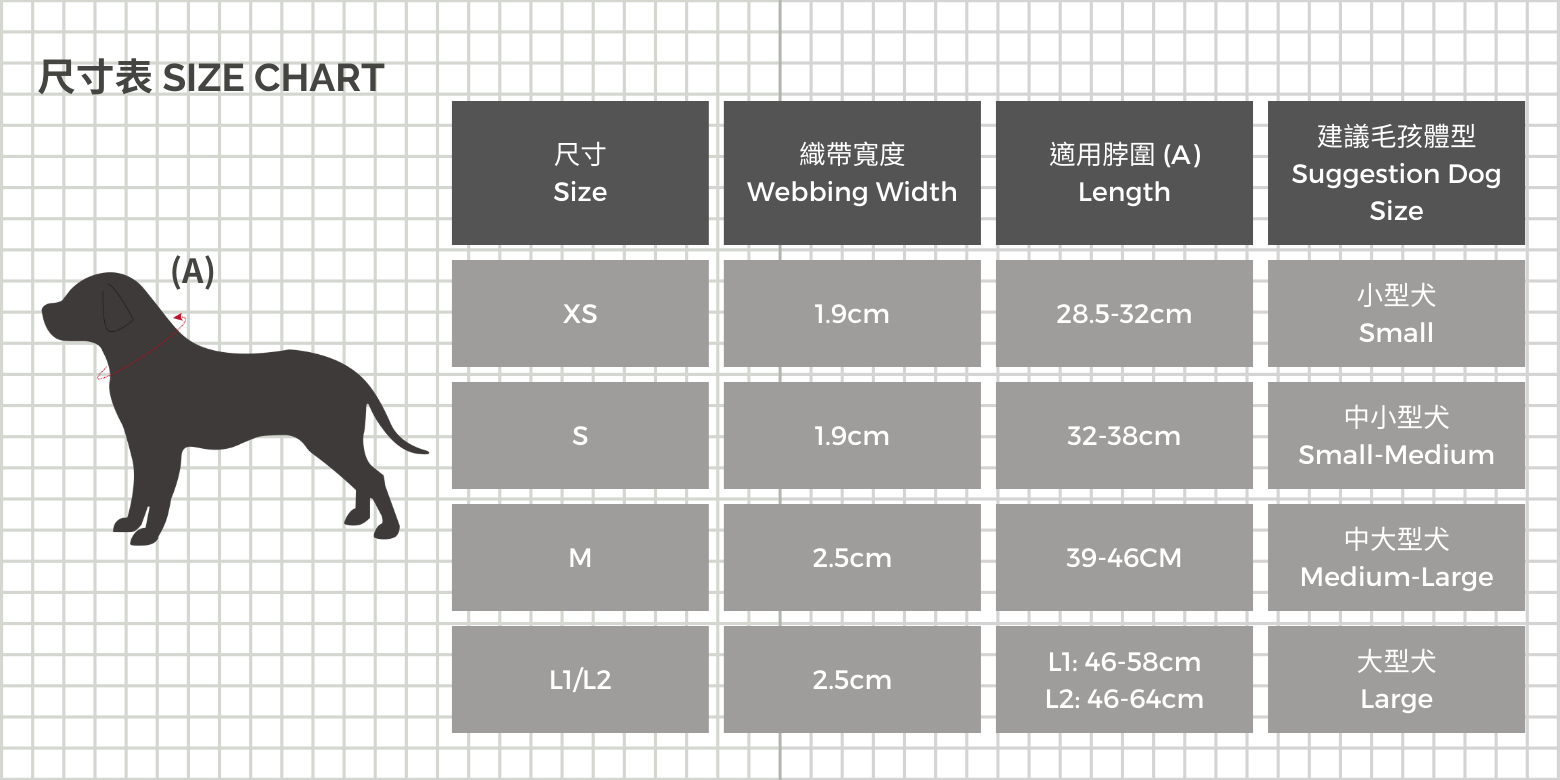 藍橘黑尺寸