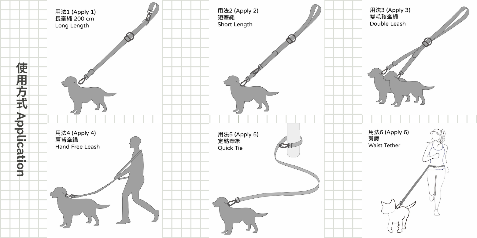 Multi-Functional Leash-Using Application