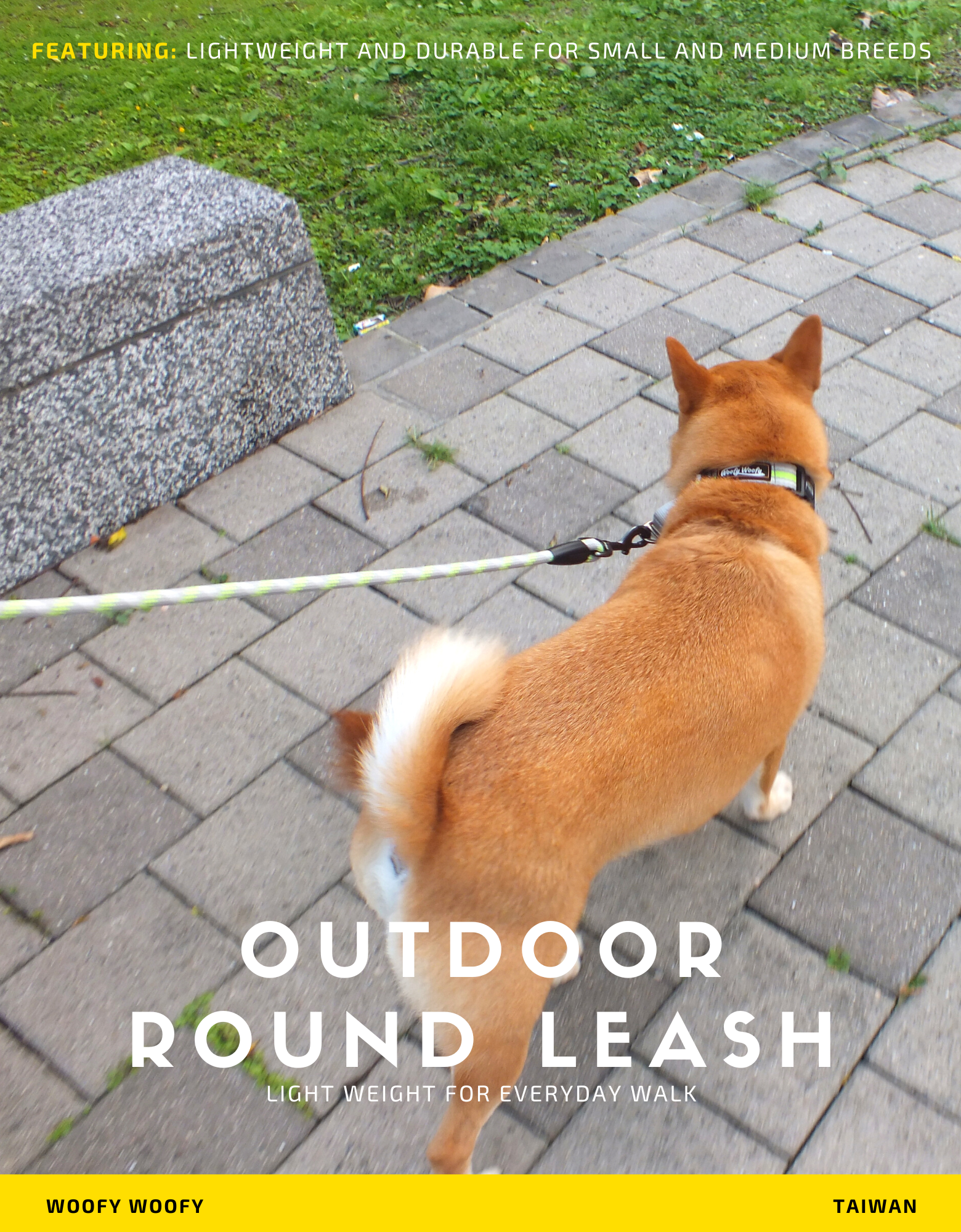 Outdoor Round Leash-Gray-2