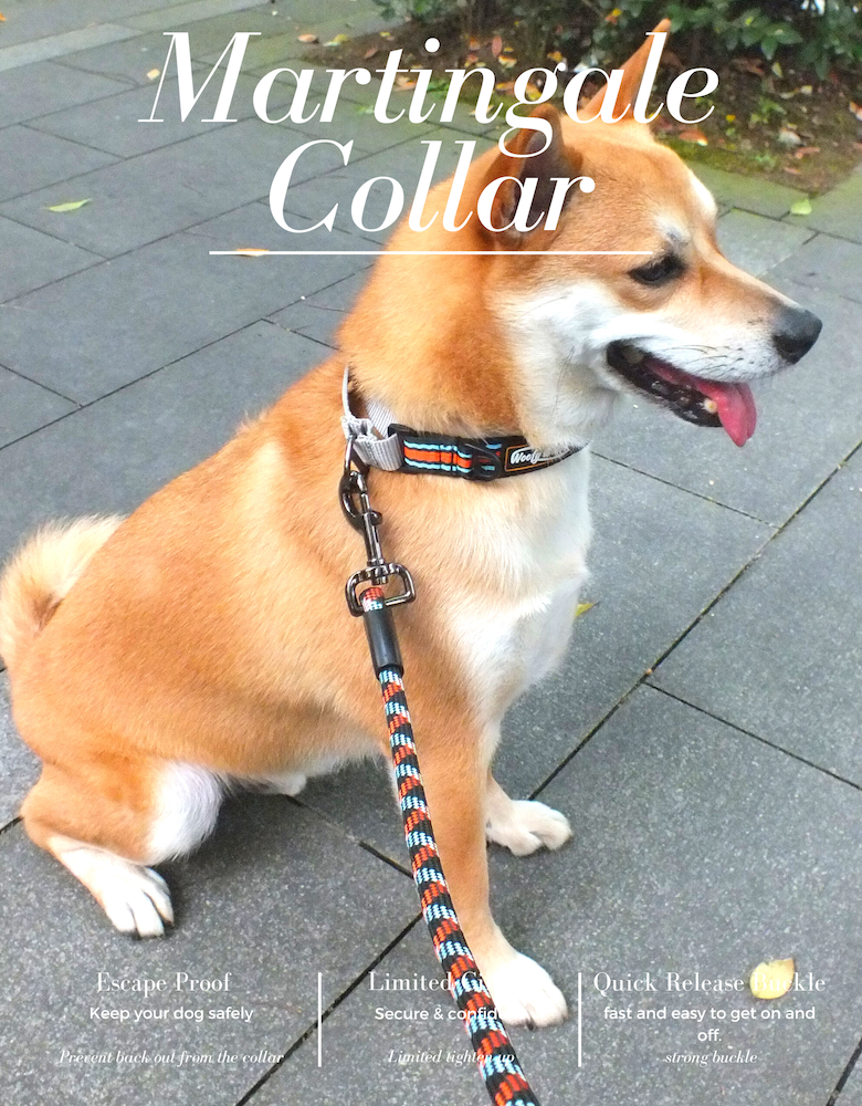 Martingale Collar-Black-1