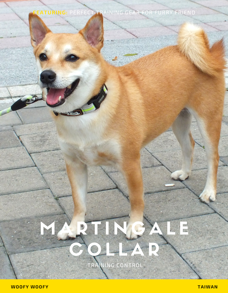 Martingale Collar-Gray-2