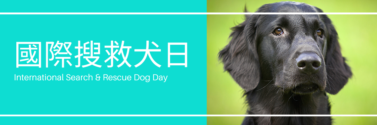 國際搜救犬日| International Search & Rescue Dog Day