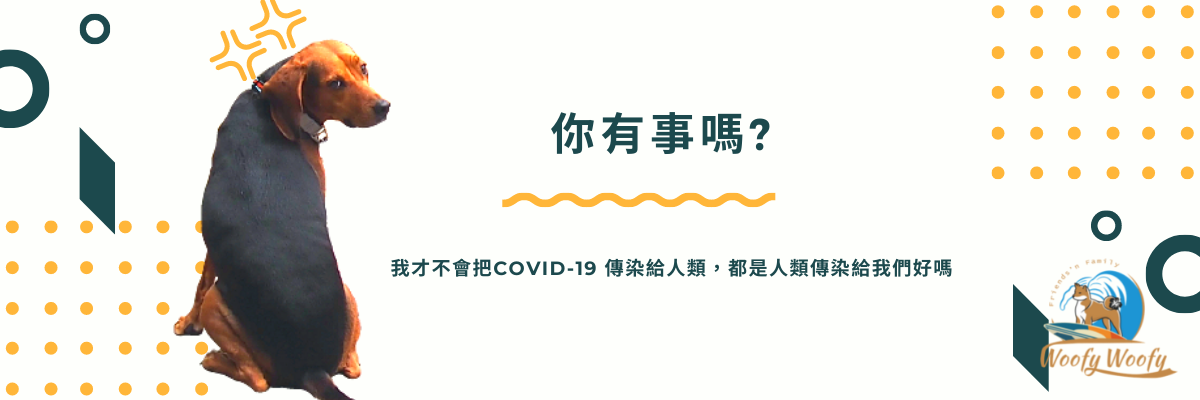 寵物感染 COVID-19 假訊息 澄清