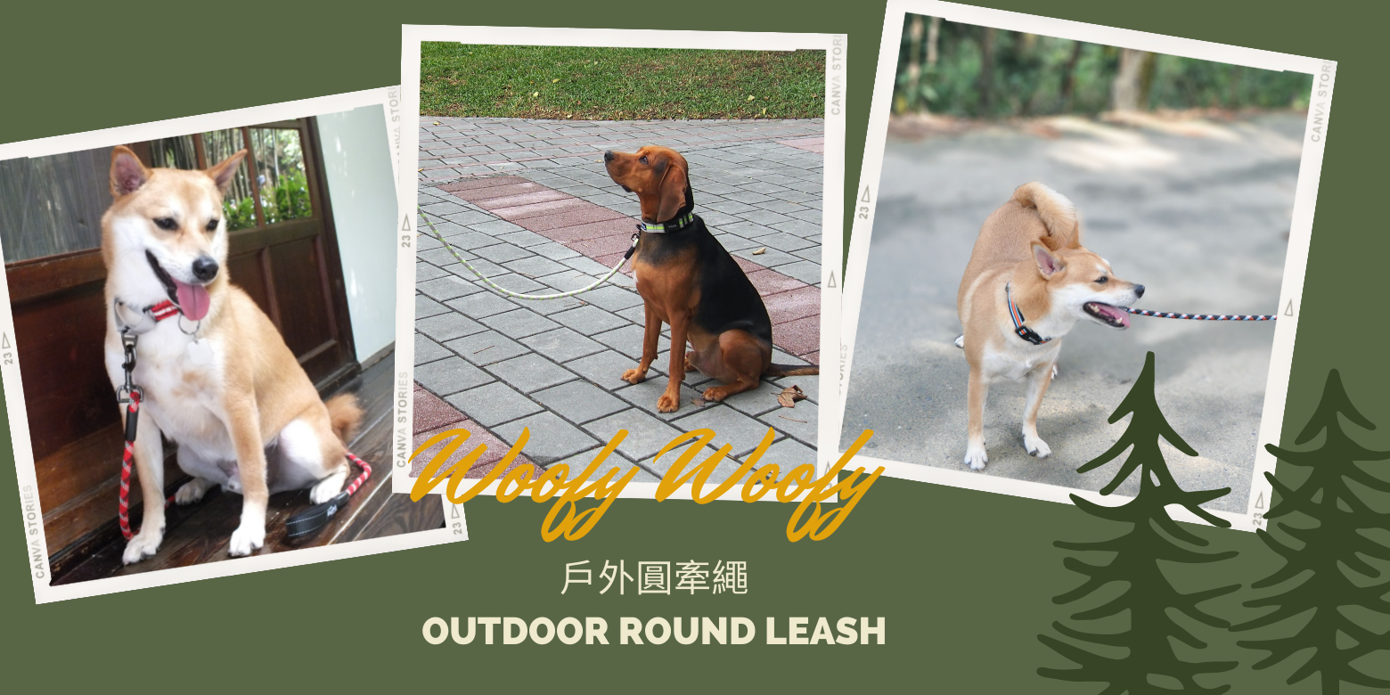 outdoor round leash-models.png