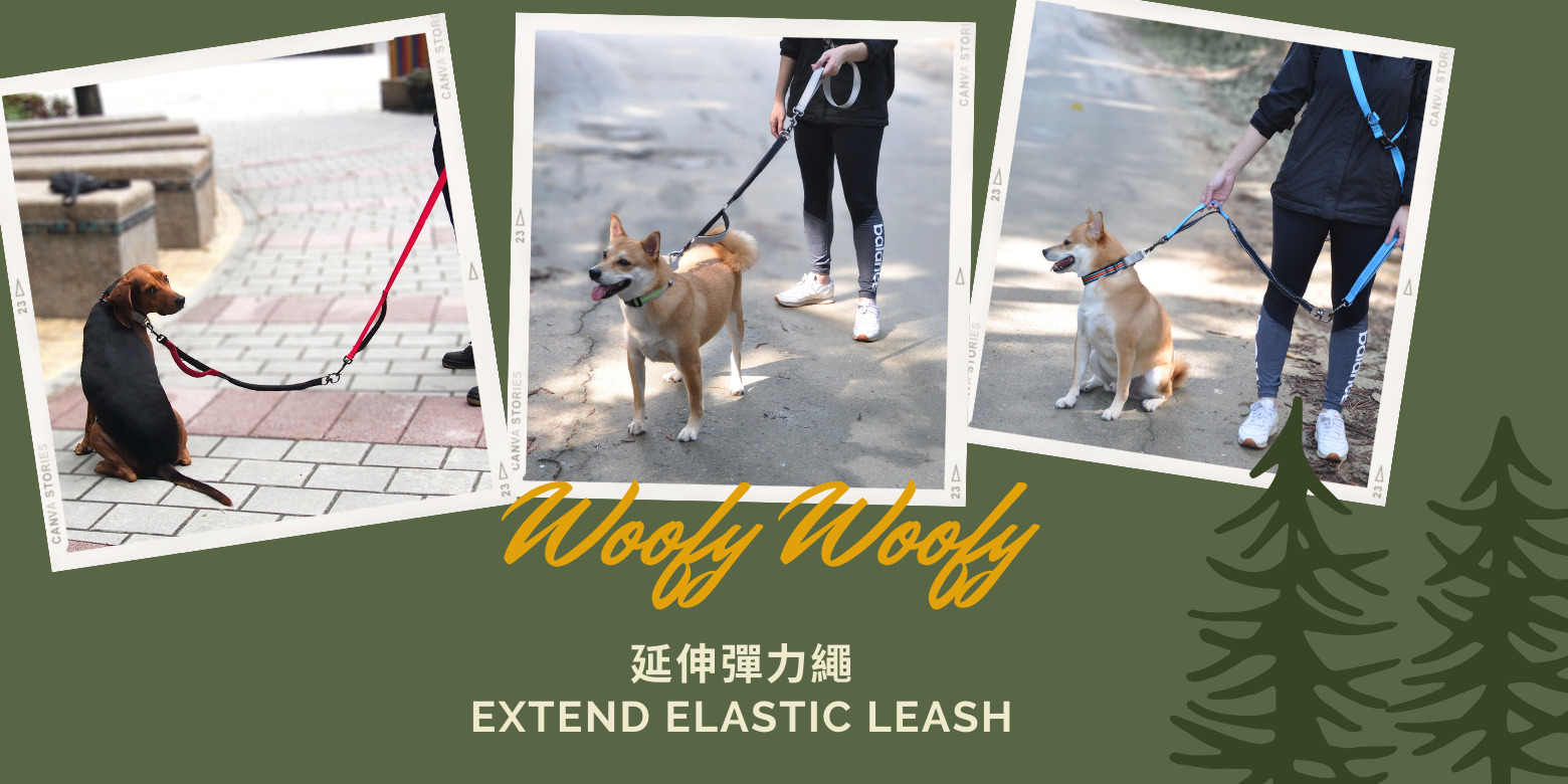 extend elastic leash-model.png
