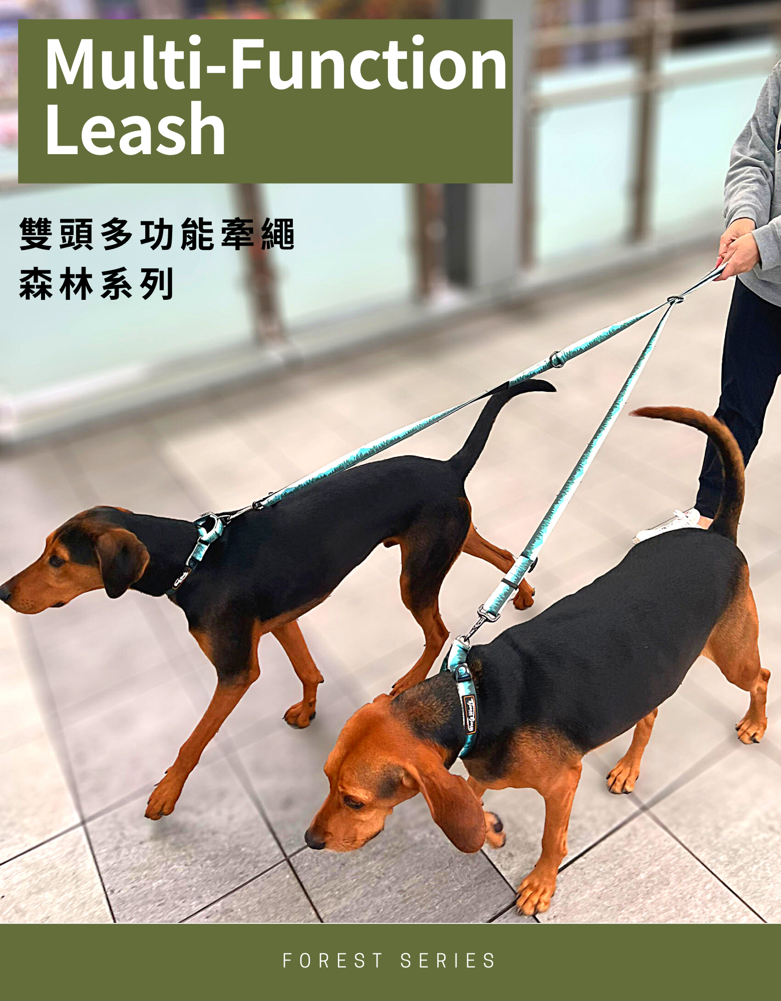 Multi-Function Leash-double- model show.png