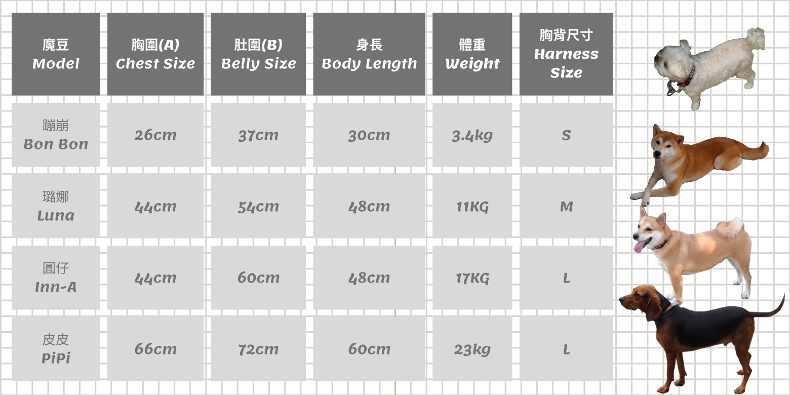 Outdoor Light Harness-Model Size Chart.png