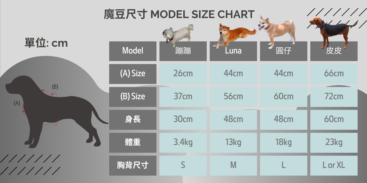 Model Size Chart