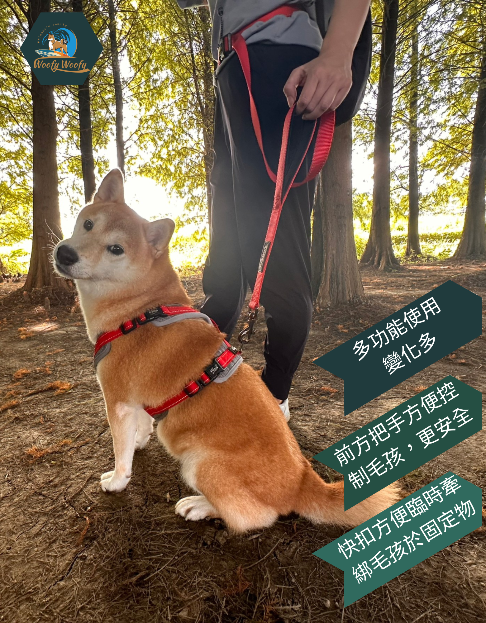 Hands Free Leash-150cm-V2-Model 1