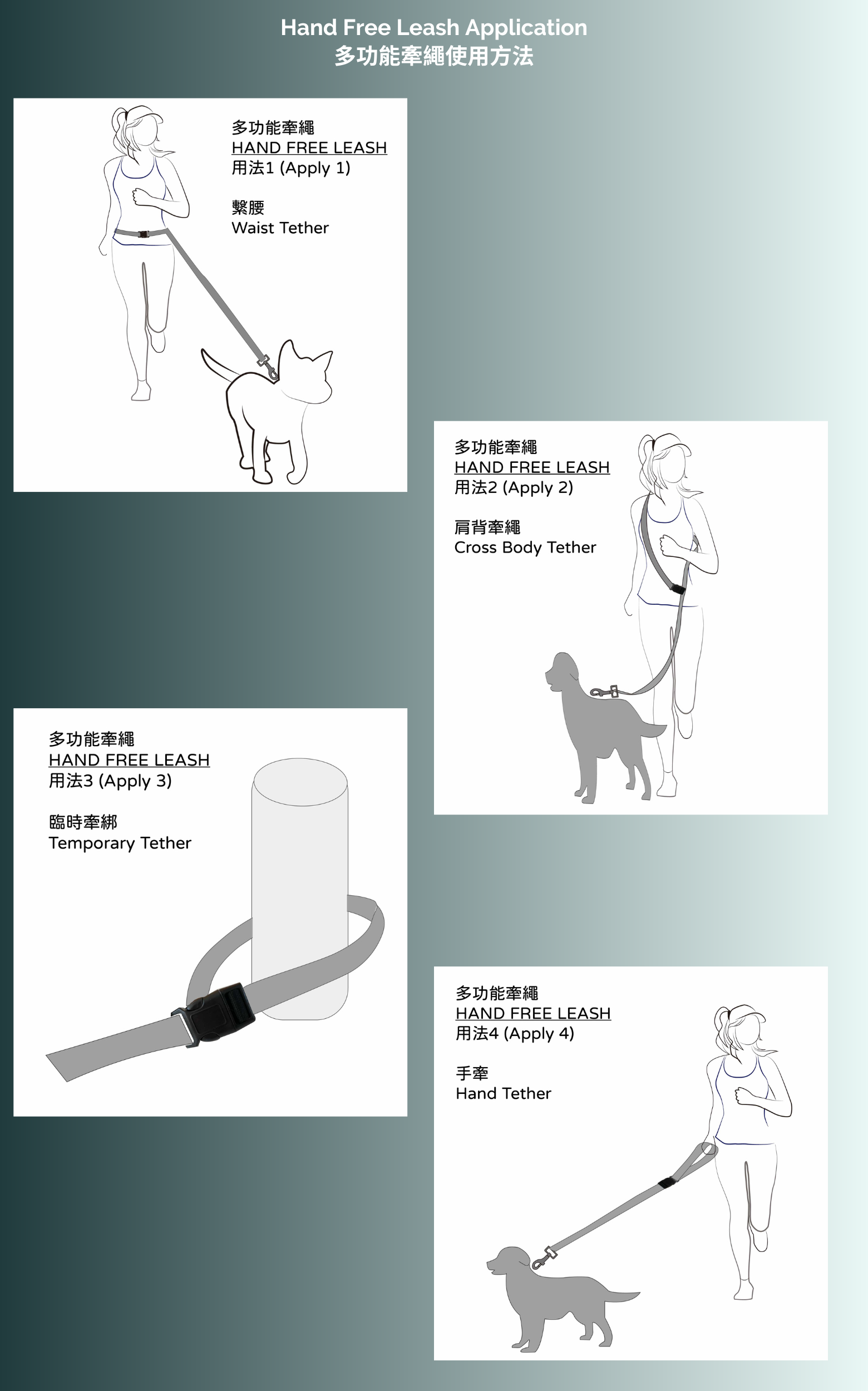 多功能牽繩使用方法 Hand Free Leash Application